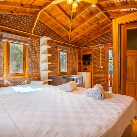 Ξενοδοχείο Olive Tree 4*