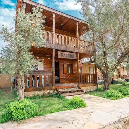 Olive Tree 4*